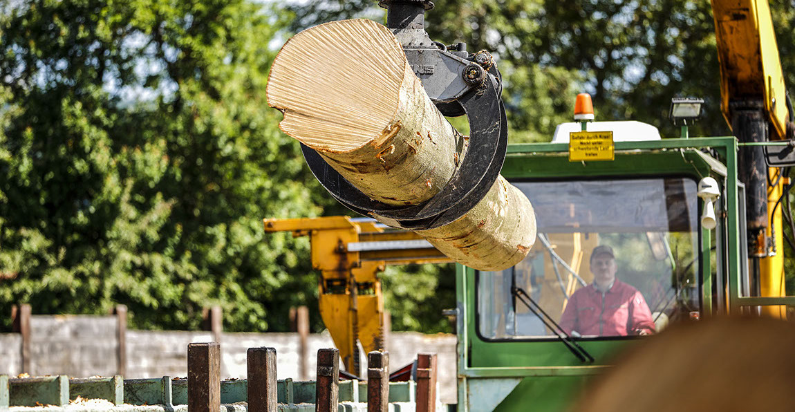 Buche, Eiche, Ahorn, Esche, Sägewerk, Laubholzsägewerk, Klimahalle, Vakuumkammer, Blockbandsäge