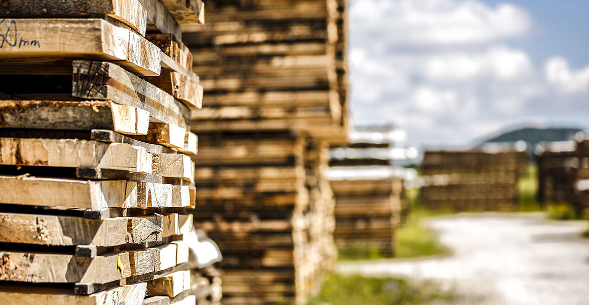 Buche, Eiche, Ahorn, Esche, Sägewerk, Laubholzsägewerk, Klimahalle, Vakuumkammer, Blockbandsäge