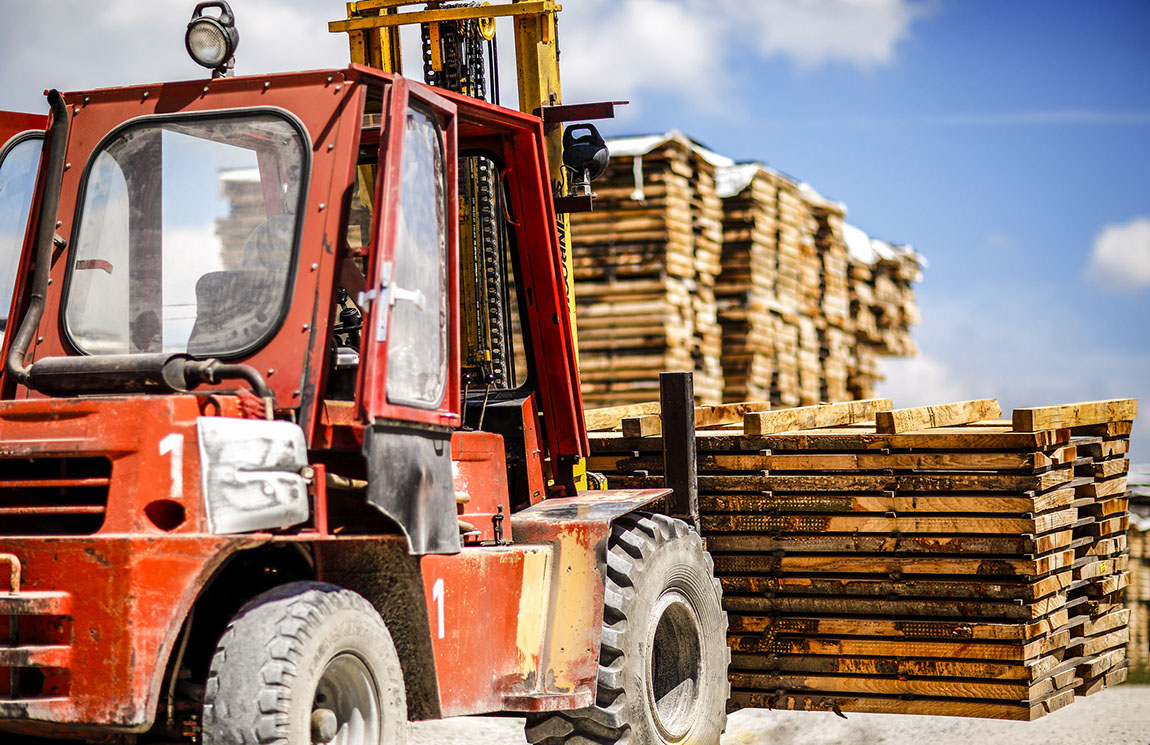Buche, Eiche, Ahorn, Esche, Sägewerk, Laubholzsägewerk, Klimahalle, Vakuumkammer, Blockbandsäge